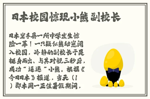 欧洲尺码日本尺码专线美国特价